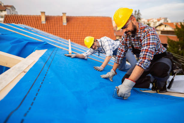 Best Gutter Installation and Roofing  in Matamoras, OH