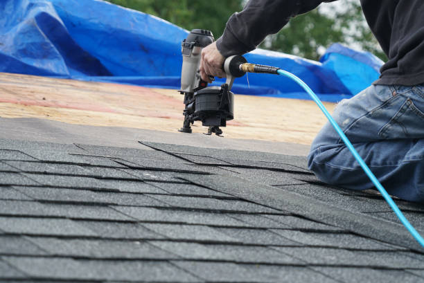 Best Roof Gutter Cleaning  in Matamoras, OH